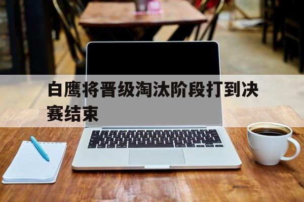 白鹰将晋级淘汰阶段打到决赛结束